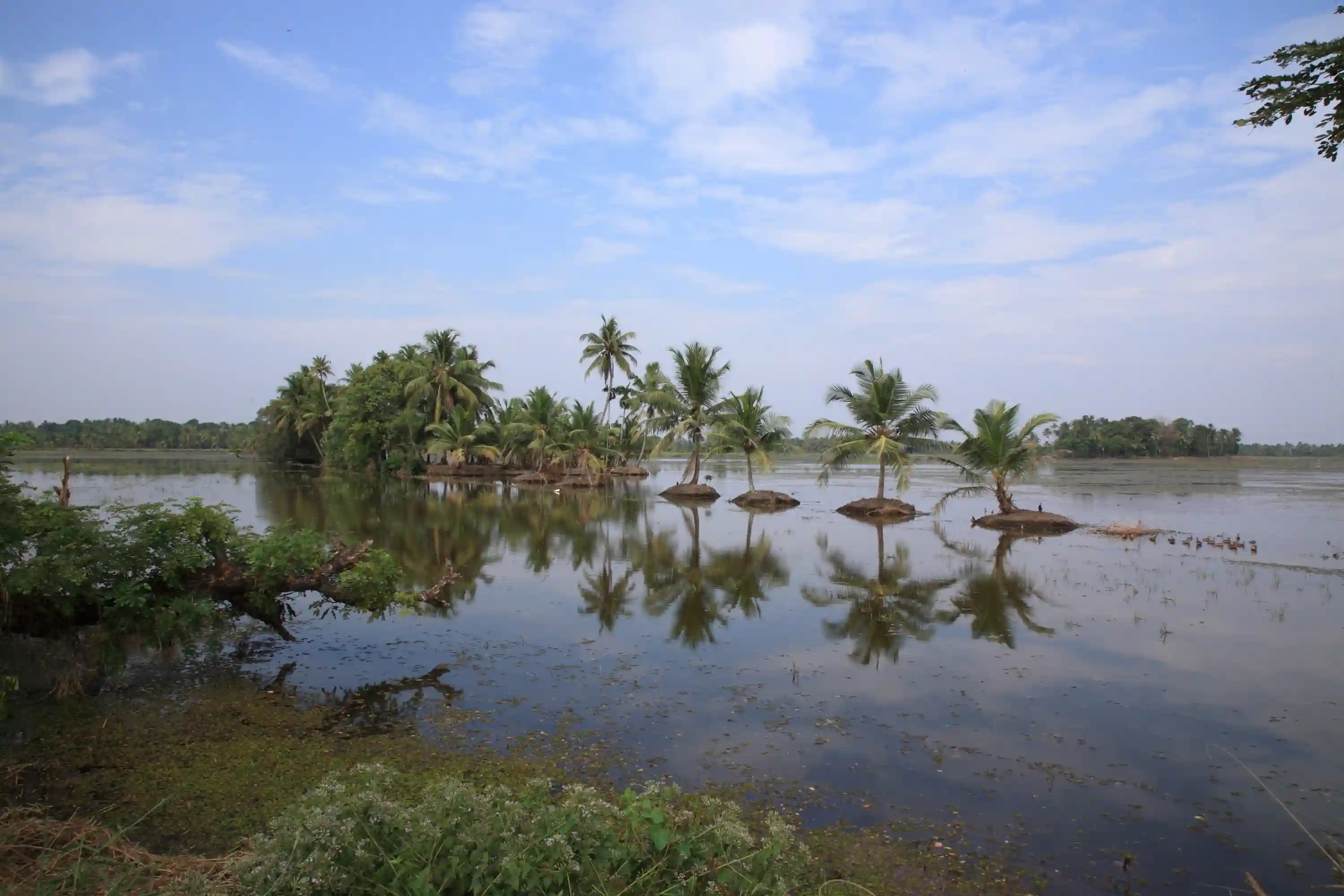 Kerala Backwaters & Ayurveda Retreat