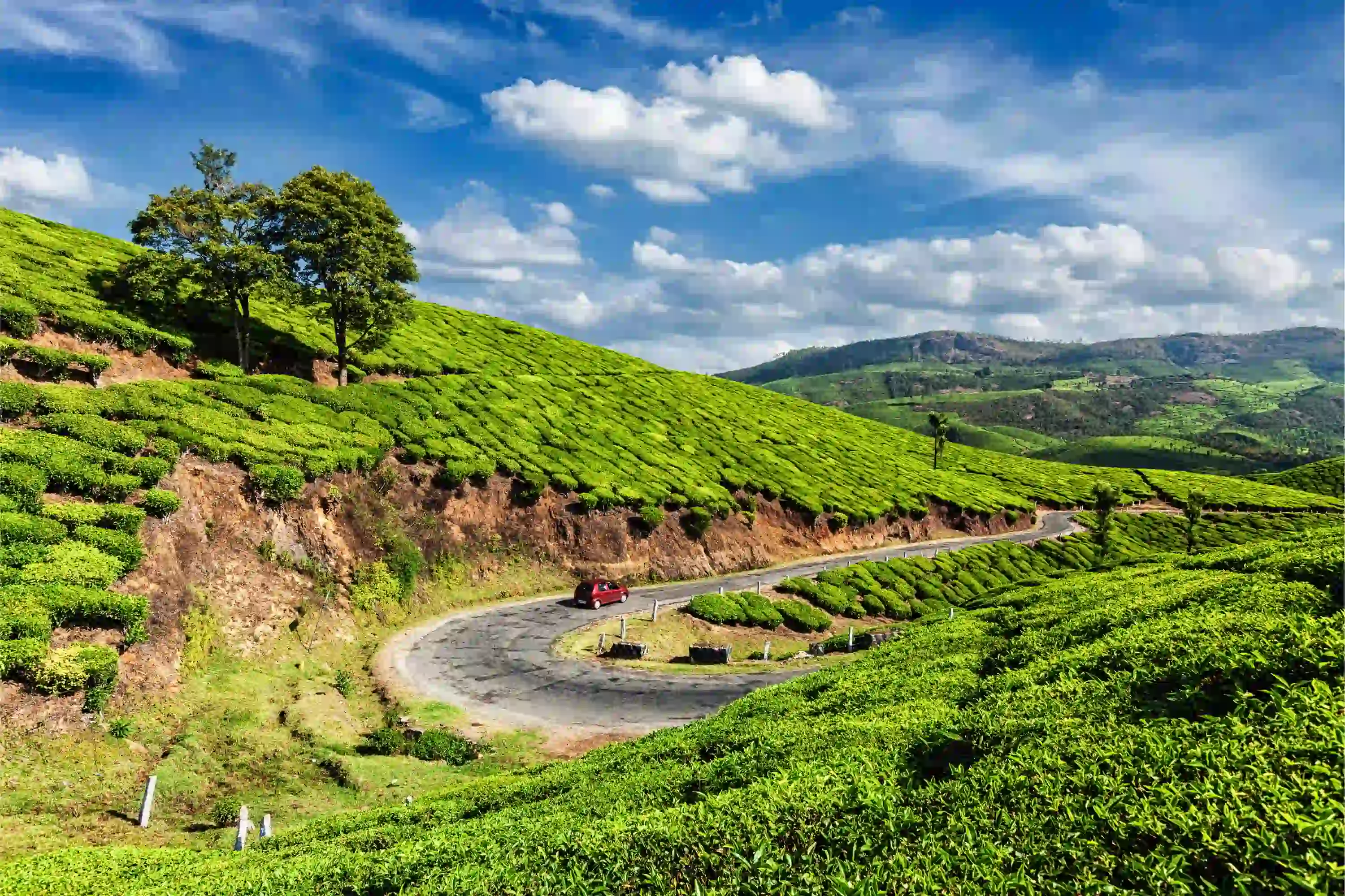 Kerala Backwaters & Ayurveda Retreat